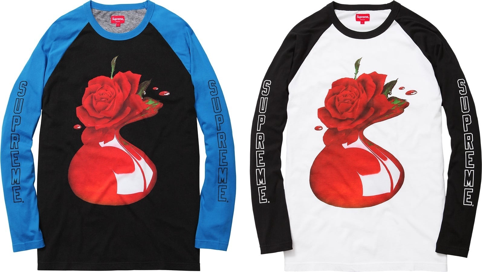 Melting Rose Raglan